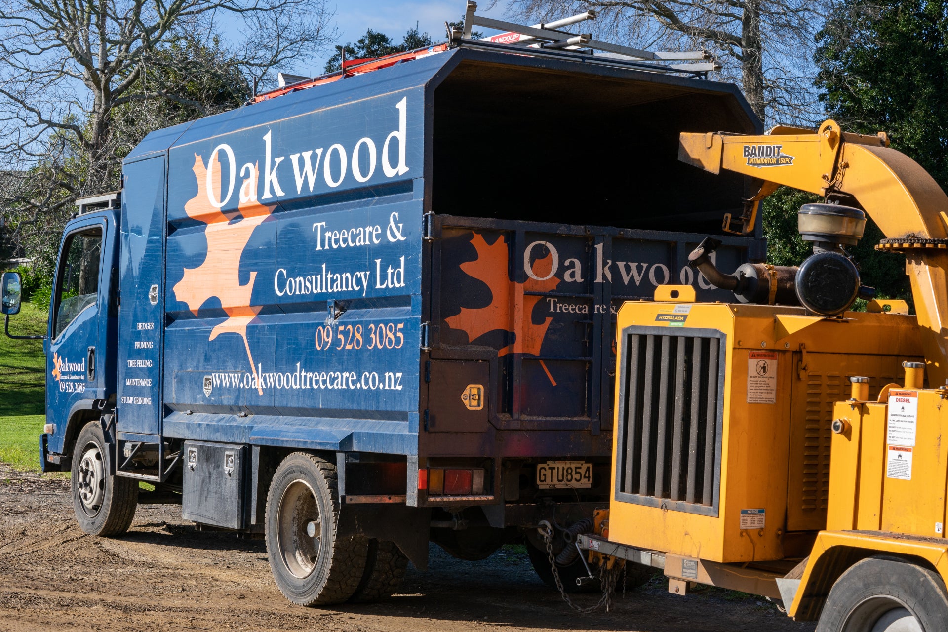 FAQs - Tips for Tree Work in Auckland