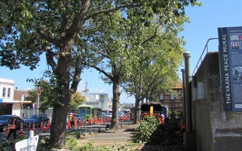 Ponsonby Road Tree Pruning
