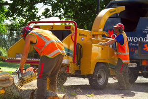 Tree Felling & Removal